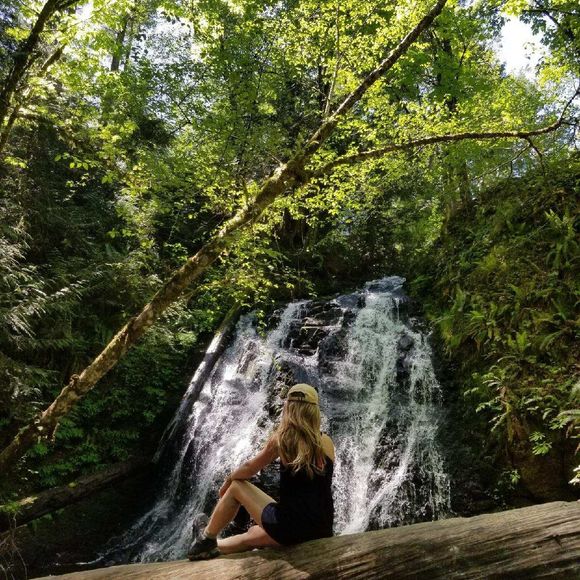 Meet your Posher, Paige - Picture 1 of 1